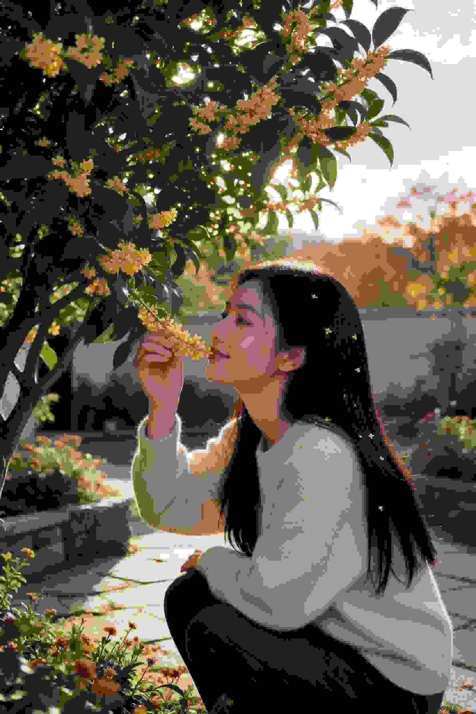 隐藏的真凶